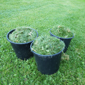 Hochbeet befüllen - Zweite Schicht Grasnarben, Rasenschnitt