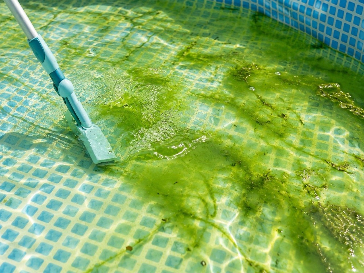 Naturpool-Reinigung leicht gemacht: für kristallklares Wasser