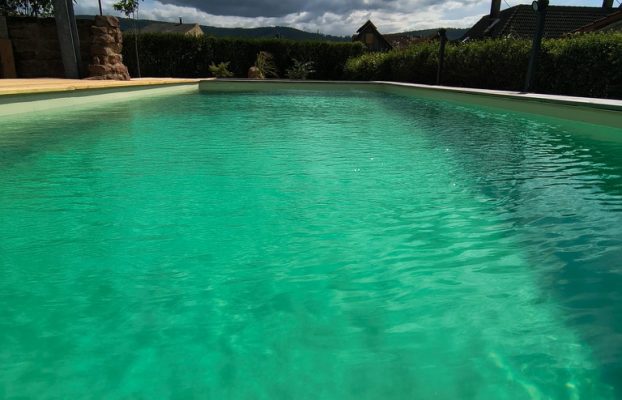 Die Ökologie eines Naturpools: Wie es funktioniert