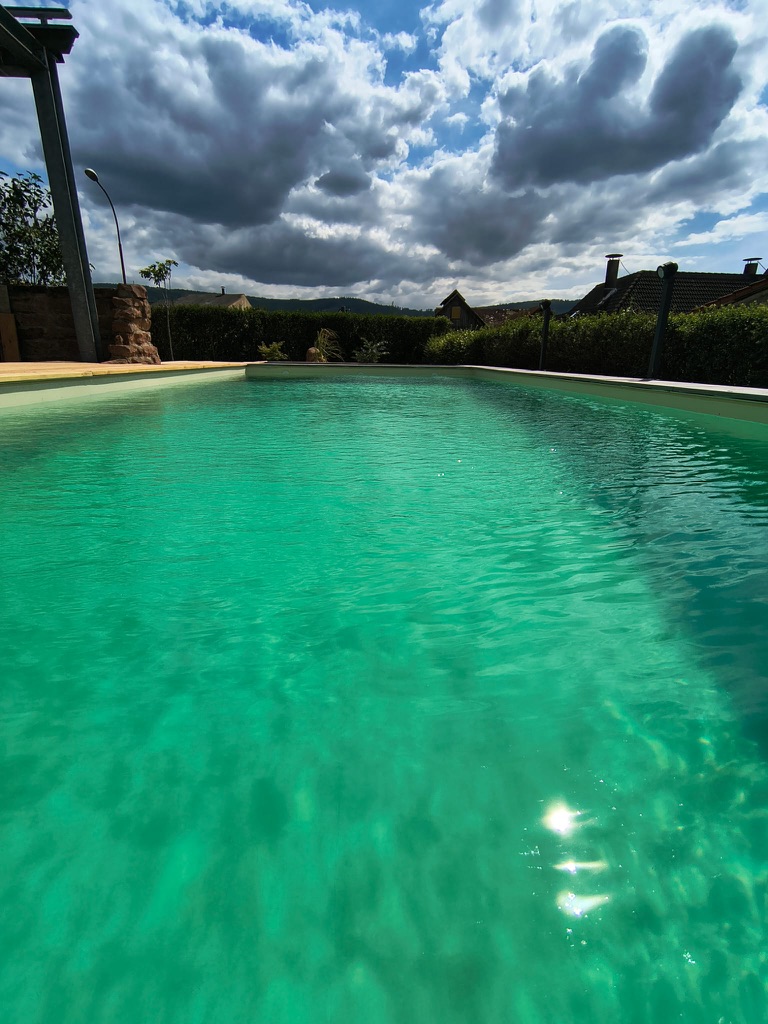 Die Ökologie eines Naturpools: Wie es funktioniert