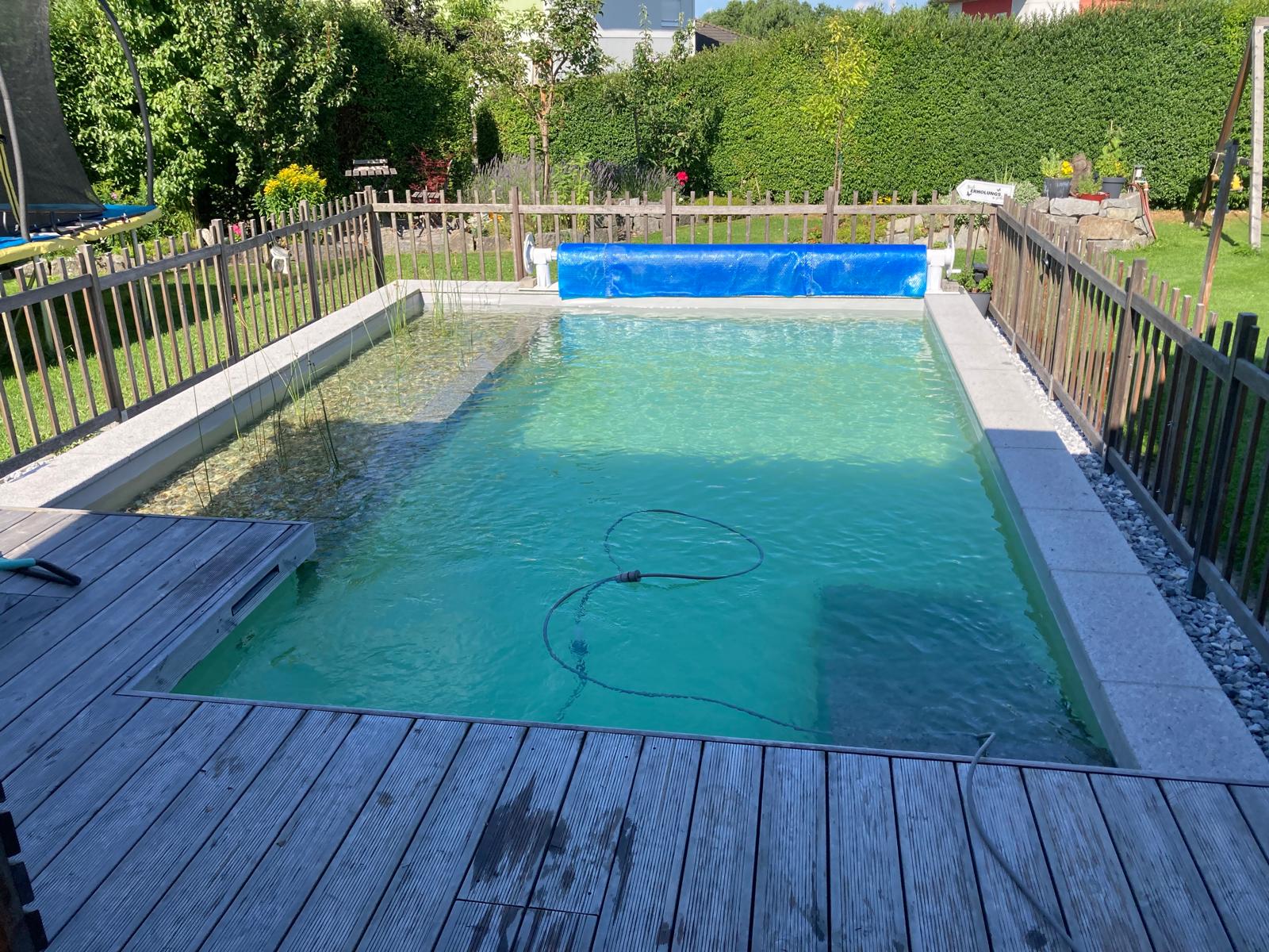 Naturpool-pflege