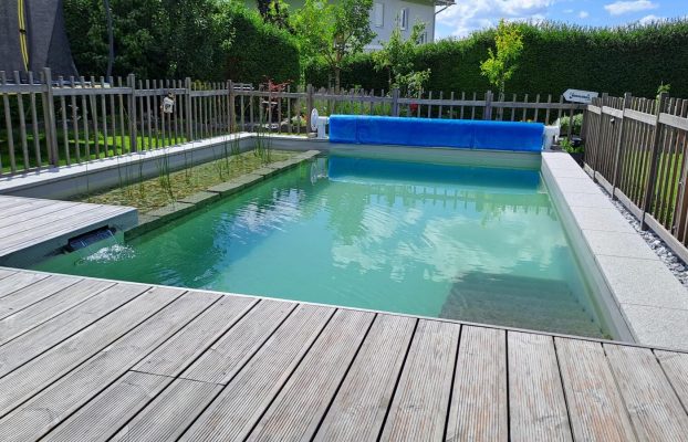 Naturpool richtig pflegen: Umfassende und praktische Tipps für jede Jahreszeit